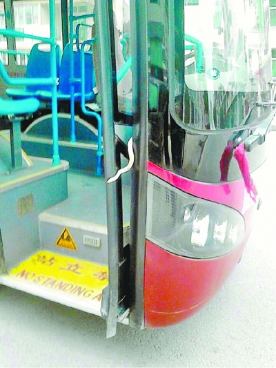 武漢一公交車上驚現(xiàn)1米長(zhǎng)毒蛇(圖)