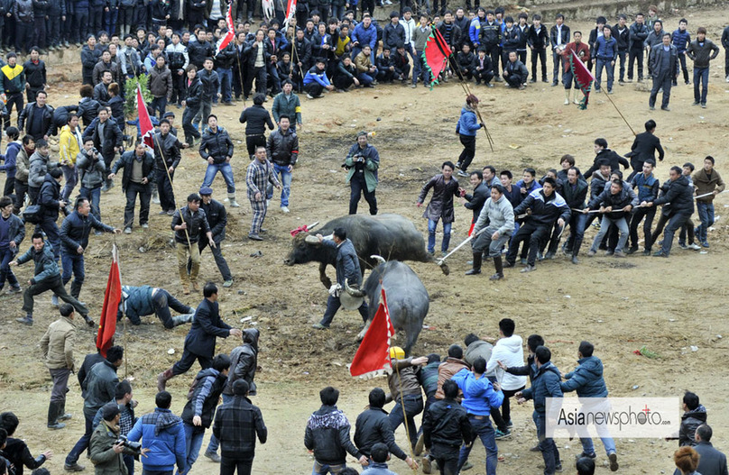 中國日報2013春節圖片精選