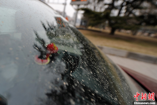 北京迎來大范圍降雪 “黃色”春雪悄然而至