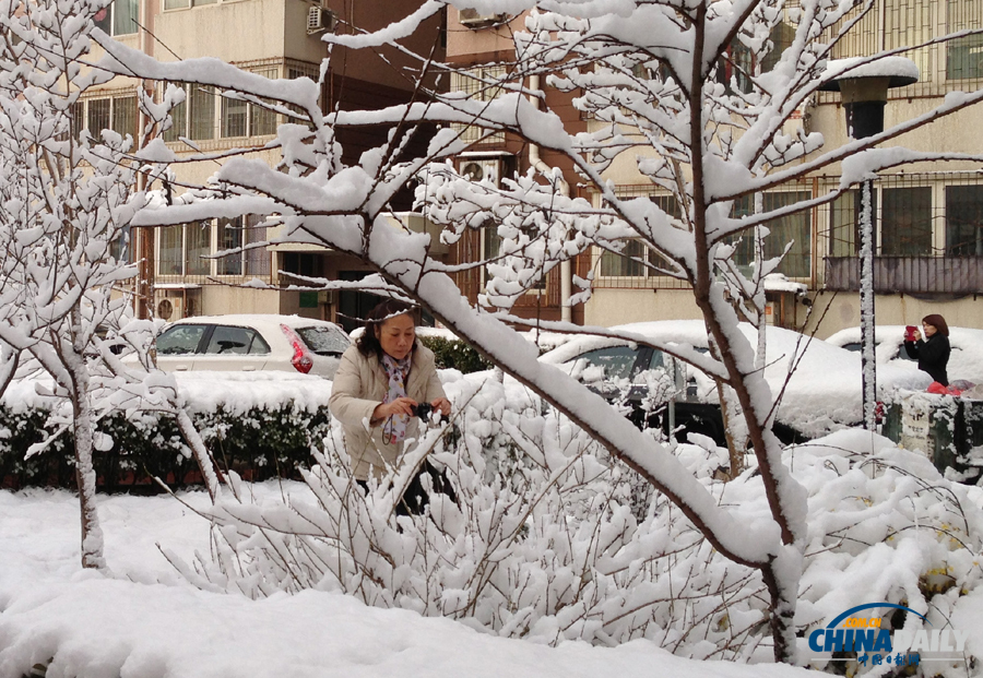 中國(guó)日?qǐng)?bào)直擊北京三月春雪