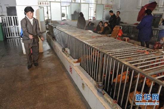 病前一周接觸過禽類者為感染H7N9高危人群