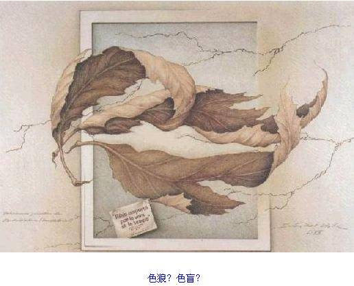 瘋狂的圖片！ 測測你的心理和眼力