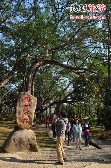 滇西春色擋不住　孔雀之鄉德宏體驗邊境文化