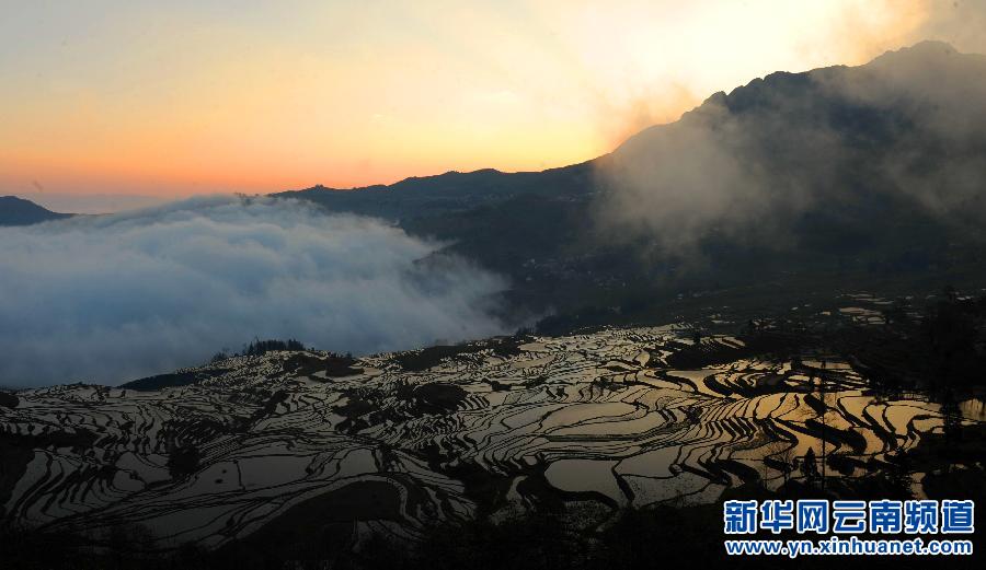 中國哈尼梯田成功列入世界遺產名錄