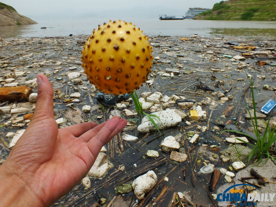 湖北宜昌：三峽水庫又現漂浮垃圾帶