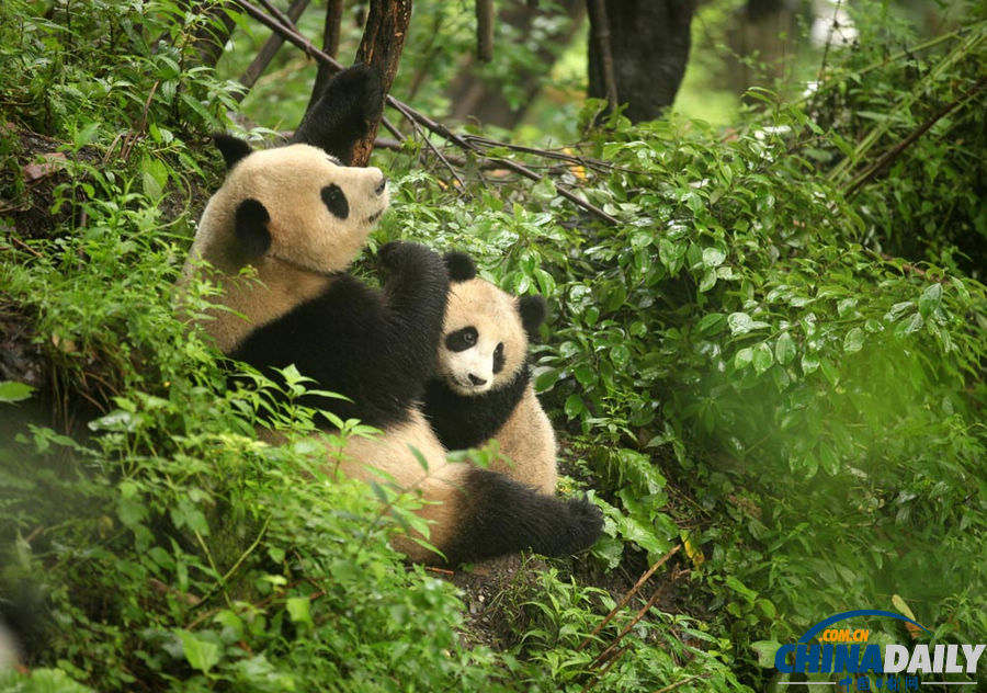 《中國日?qǐng)?bào)》一周圖片精選：7月13日—7月19日
