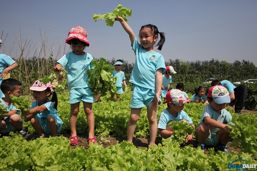 北京：幼兒園小朋友體驗種植蔬菜
