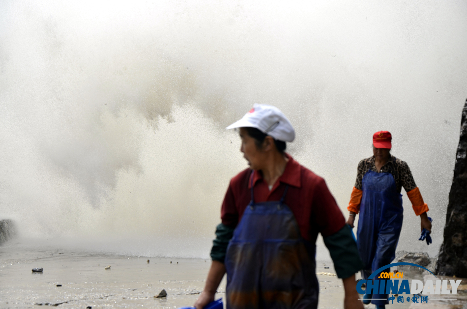 受強臺風(fēng)“丹娜絲”影響 浙江沿海再掀巨浪