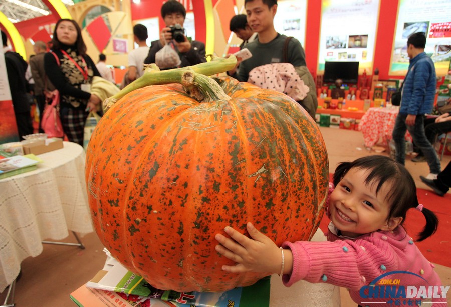 中國日報一周圖片精選：11月2日—8日