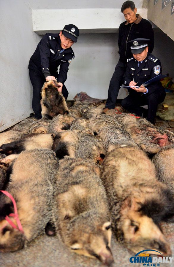 四川南充：“亮劍行動”搗毀非法加工野生動物窩點