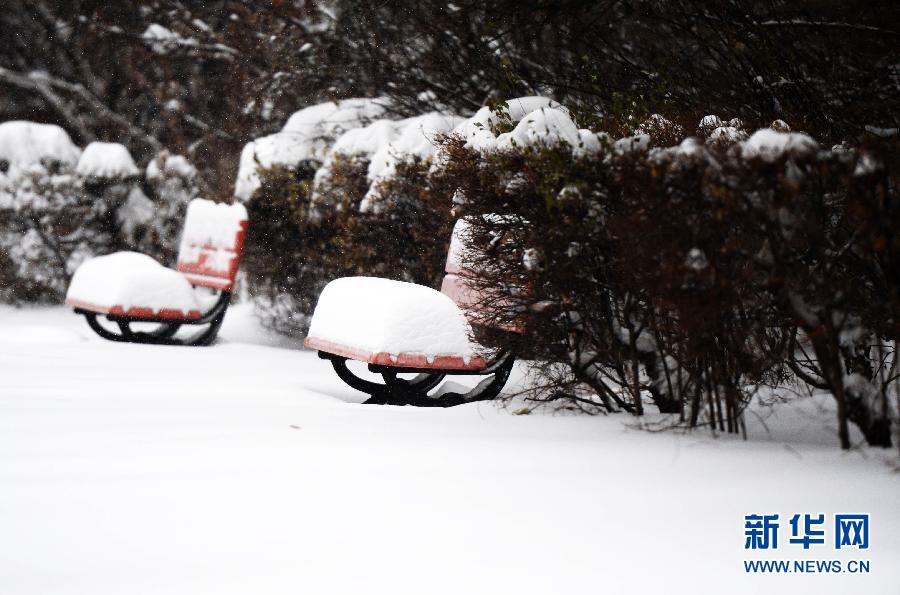 吉林黑龍江“暴雪圍城” 多地中小學(xué)19日繼續(xù)停課