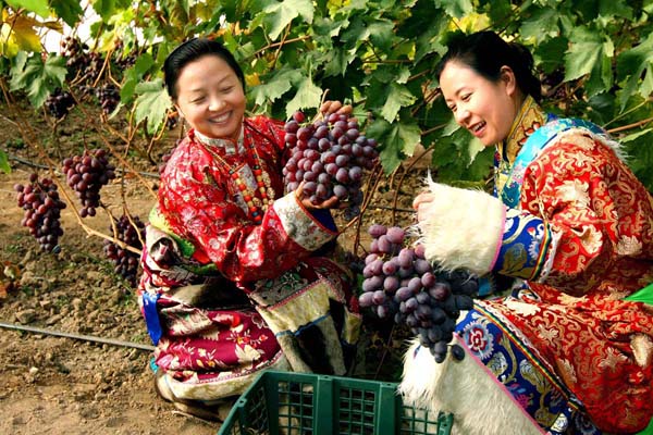 甘肅扶貧揚帆起航助農致富，放飛農民小康夢想