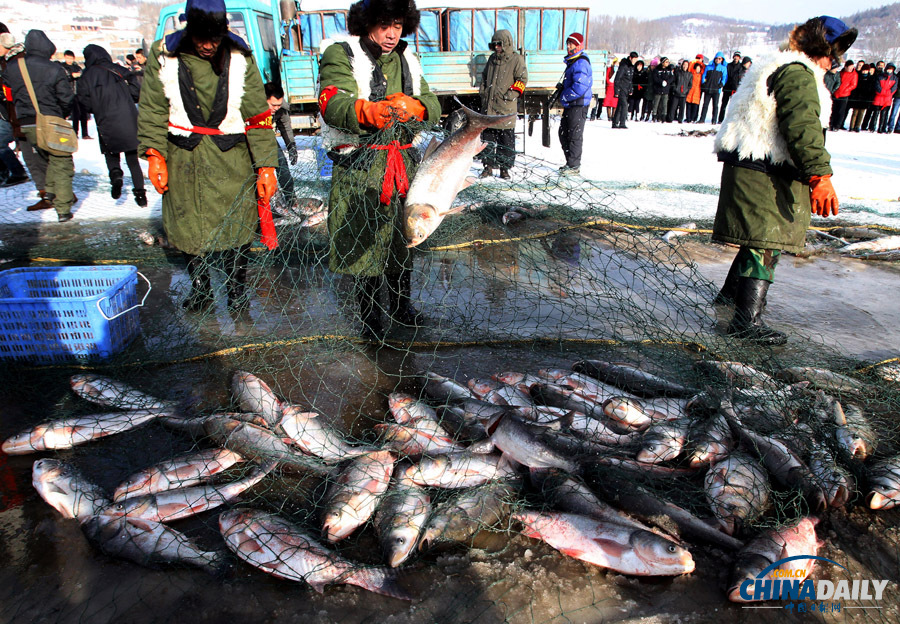 吉林長春石頭口門水庫開網(wǎng)捕魚