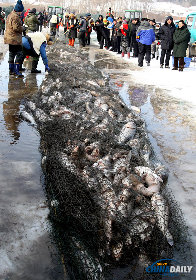 吉林長春石頭口門水庫開網捕魚