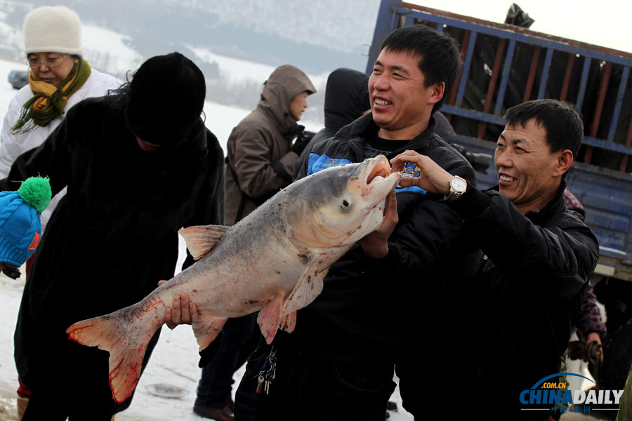 吉林長春石頭口門水庫開網捕魚