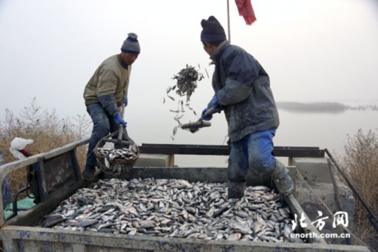 追夢人生：最美濱海濕地守護者王建民