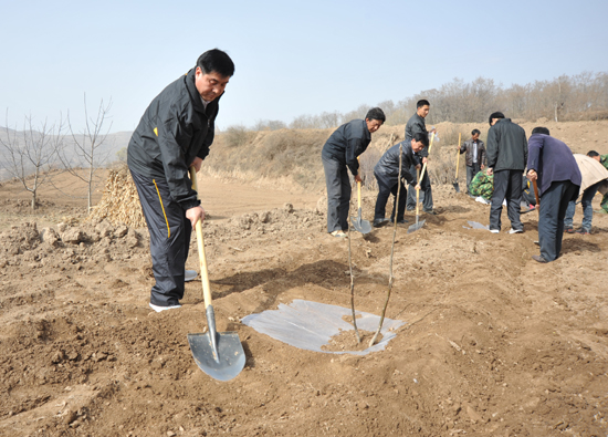甘肅省清水縣遍山栽下搖錢樹 滿載金果奔小康