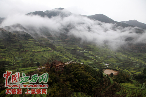 全國網媒記者邂逅婺源篁嶺 云山“婺”海令人醉