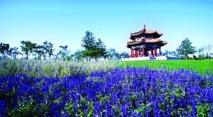 北京最大濕地公園開門迎客 此前曾是垃圾場