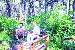 北京市4萬(wàn)公頃森林將成市民休閑公園