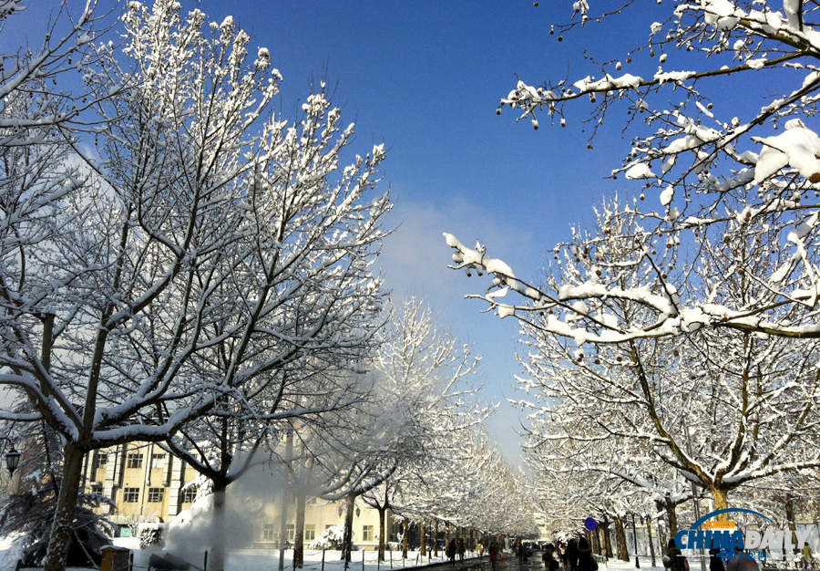 中國(guó)日?qǐng)?bào)直擊北京三月春雪