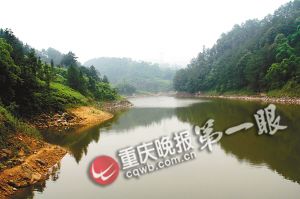 重慶綦江發現“史前巨型蚯蚓” 像蛇一樣長