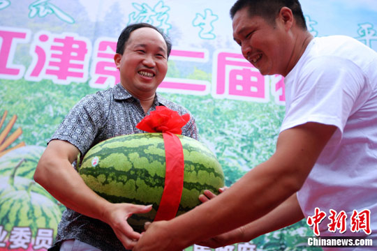 重慶江津西瓜節“大胃王”4分鐘吃瓜5斤（圖）