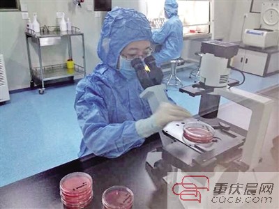 重慶水土高新園將建全球最大血液病醫院