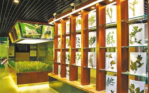重慶建首個自然保護區陳列館 成微縮版生物寶庫