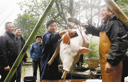 年豬“點殺”嫁接鄉村旅游