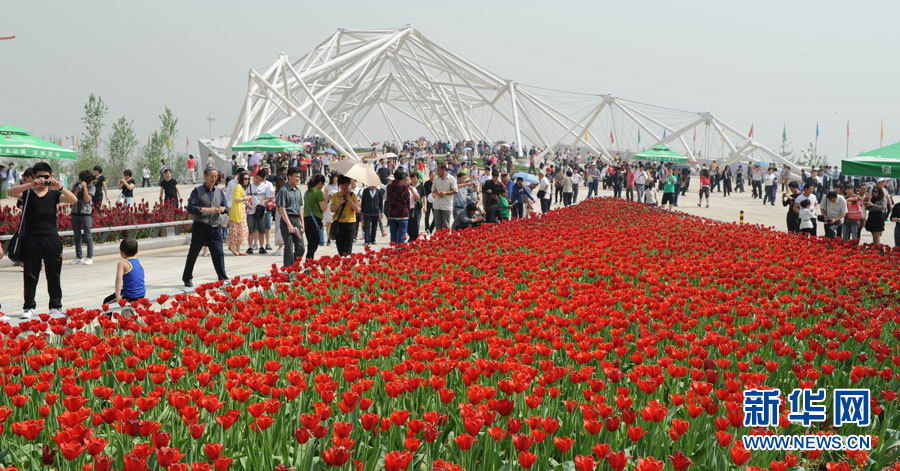 2011西安世園會開園