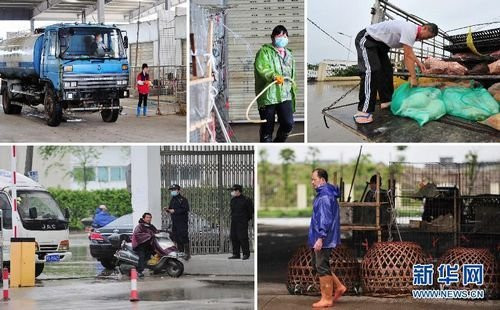 防控H7N9 福州海峽家禽批發(fā)市場(chǎng)緊急關(guān)閉