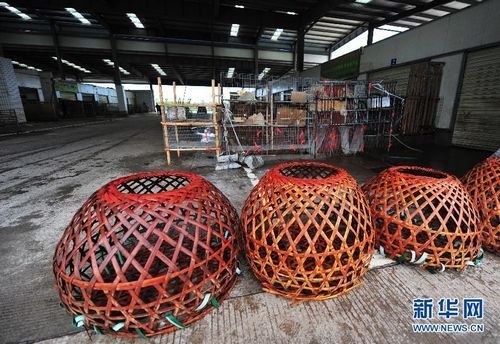 防控H7N9 福州海峽家禽批發(fā)市場(chǎng)緊急關(guān)閉
