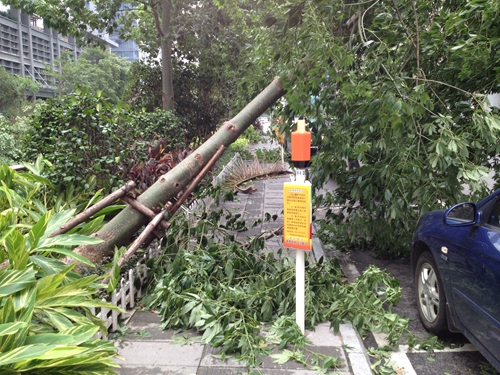 臺(tái)風(fēng)“潭美”在福清沿海登陸