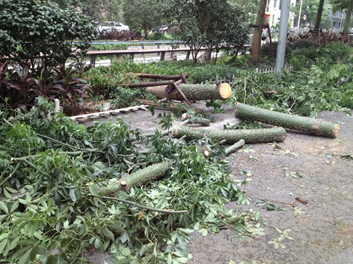 臺(tái)風(fēng)“潭美”在福清沿海登陸