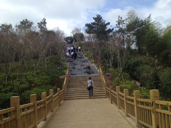 漳平臺灣農(nóng)民創(chuàng)業(yè)園:臺緣山莊旅游綜合體啟動