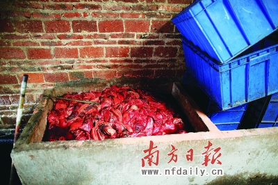 廣州死豬拌農藥腌制臘肉曝光 記者目擊制作現場