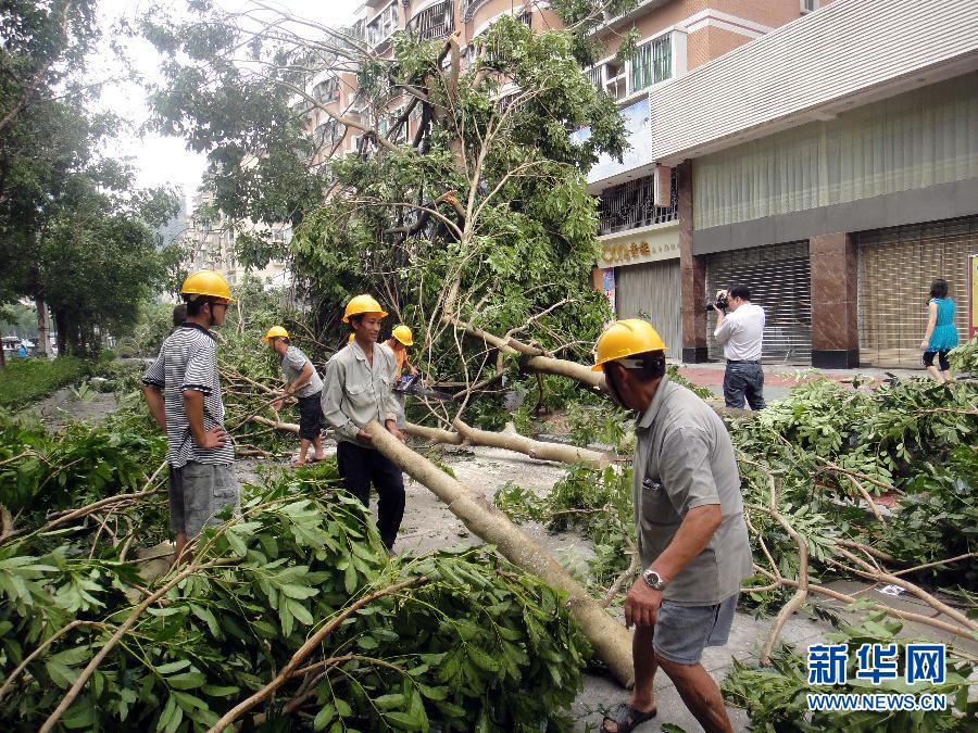 “天兔”影響減弱 廣東開始災后恢復重建