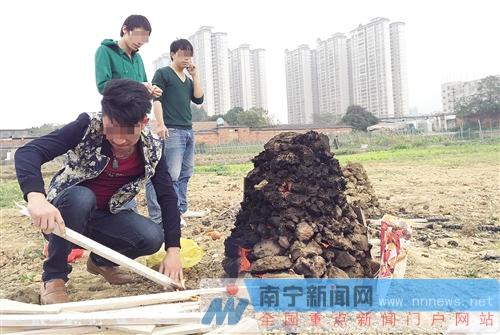 廣西大學實驗基地變燒烤場 一塊地里紅薯窯超30個