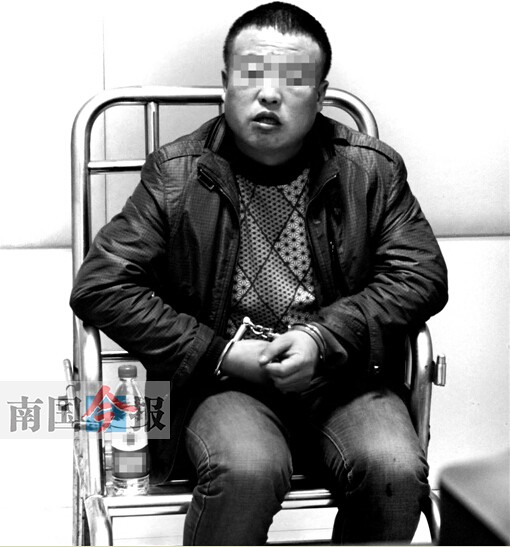 男子偽造合格證從疫區(qū)偷運活羊 問題羊被檢出布病