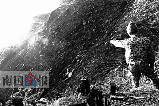 元寶山400畝左右公益林疑遭毀壞 事發(fā)融水香粉鄉(xiāng)