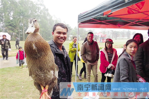 南寧金沙湖景區(qū)正式開門迎客 觀天鵝摘草莓等你來