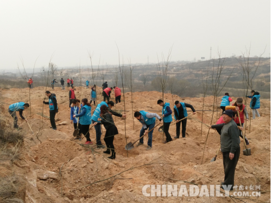 邢臺市愛心組織“慈行邢臺”植樹節義務植樹千余棵
