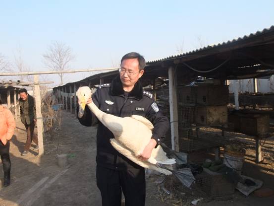 唐山樂亭用心呵護(hù)藍(lán)天上的精靈