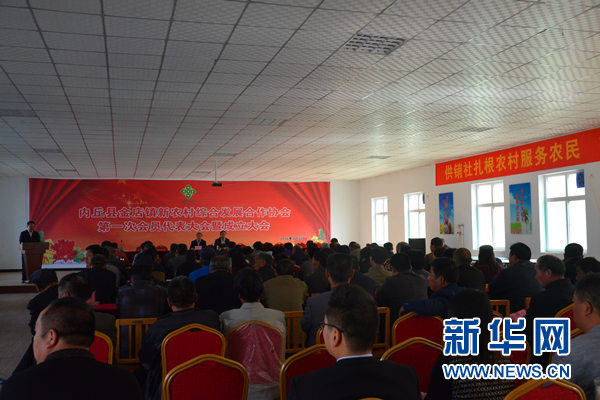國內首家由供銷社領辦的新農協在邢臺內丘成立