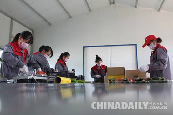承德平泉SOD保健有機(jī)蔬菜走俏京津市場(chǎng)
