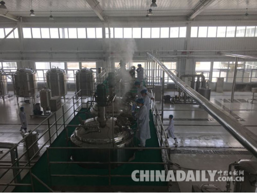唐山樂亭北京慶林肽項目試生產