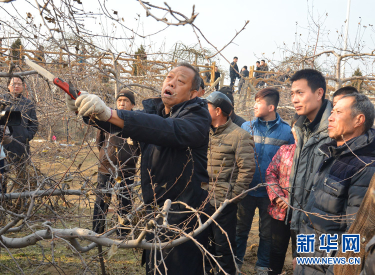 [網(wǎng)絡(luò)媒體走轉(zhuǎn)改]李保國：與巍巍太行相融 與山區(qū)百姓相依