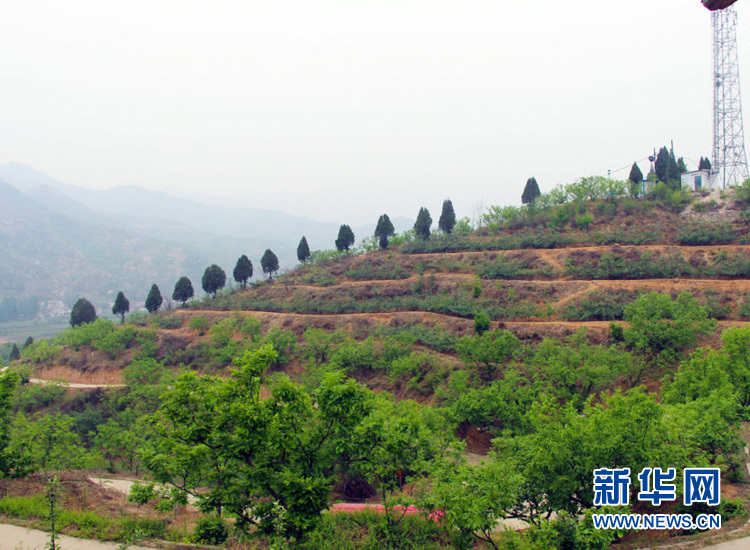 [網(wǎng)絡(luò)媒體走轉(zhuǎn)改]李保國：與巍巍太行相融 與山區(qū)百姓相依