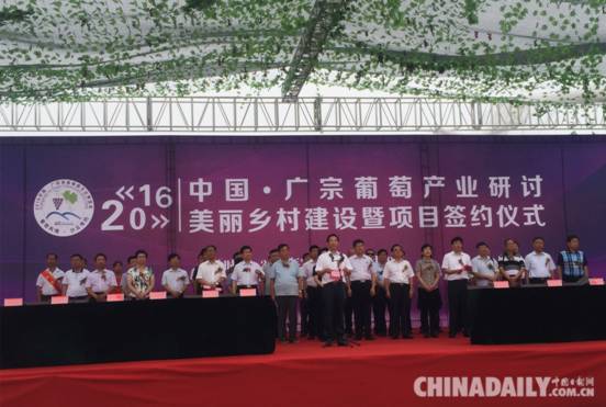 中國•廣宗首屆葡萄文化博覽會(huì)啟幕